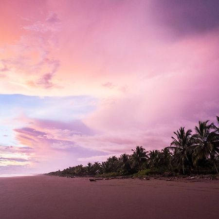 Show Pony Beach Resort And Suites Las Lajas  Eksteriør bilde