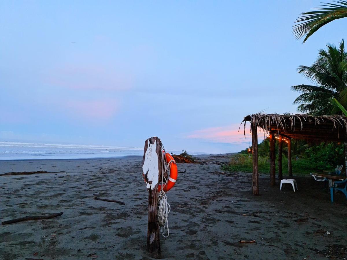 Show Pony Beach Resort And Suites Las Lajas  Eksteriør bilde