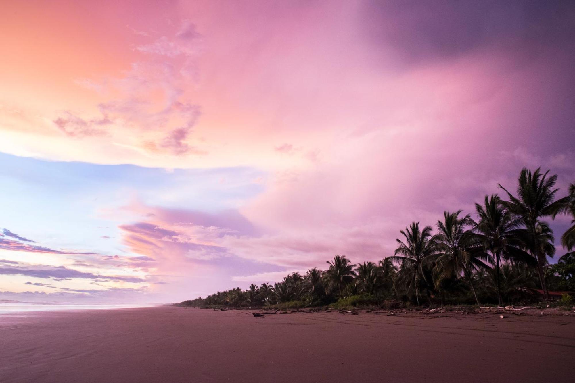 Show Pony Beach Resort And Suites Las Lajas  Eksteriør bilde