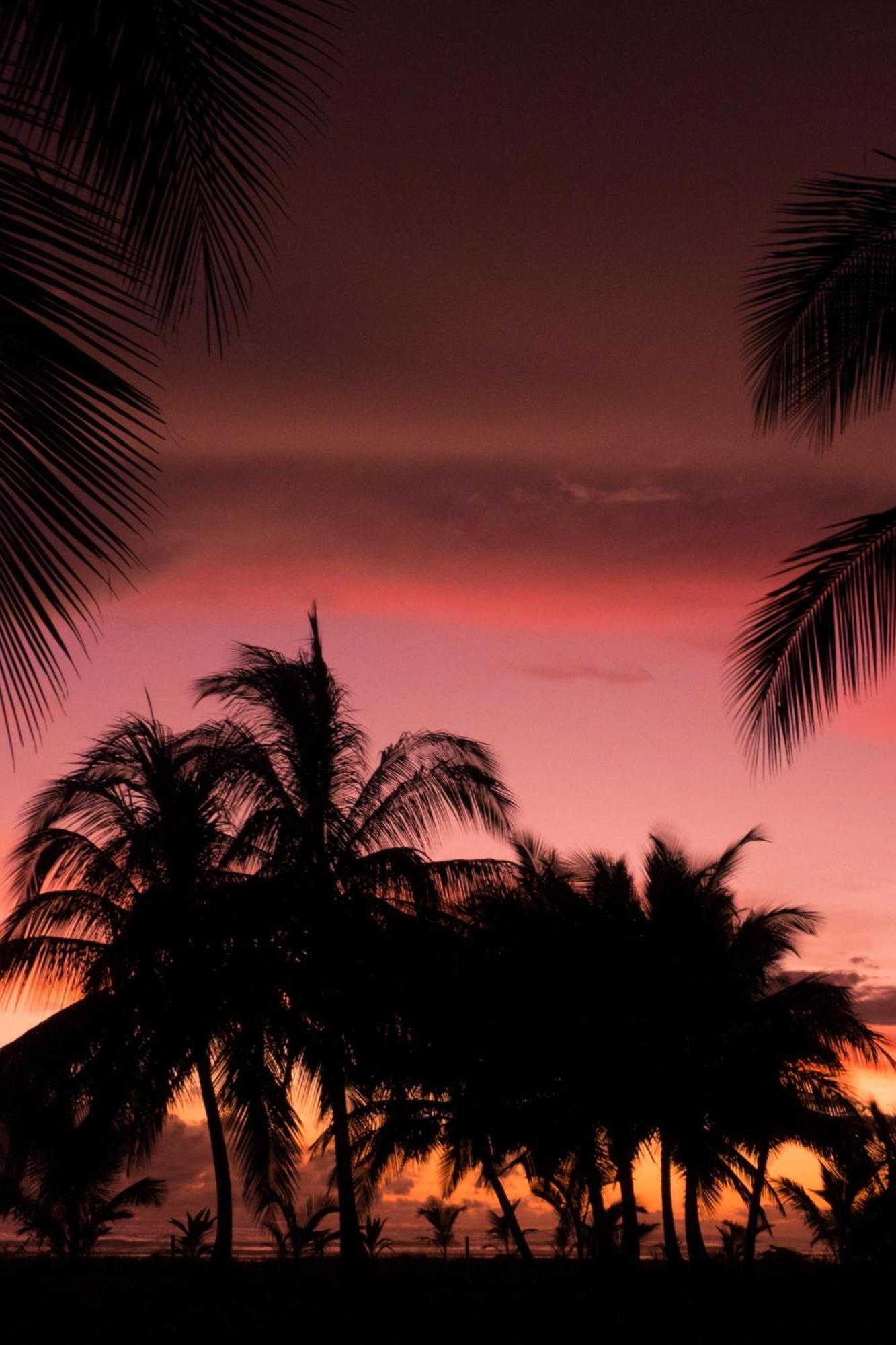 Show Pony Beach Resort And Suites Las Lajas  Eksteriør bilde