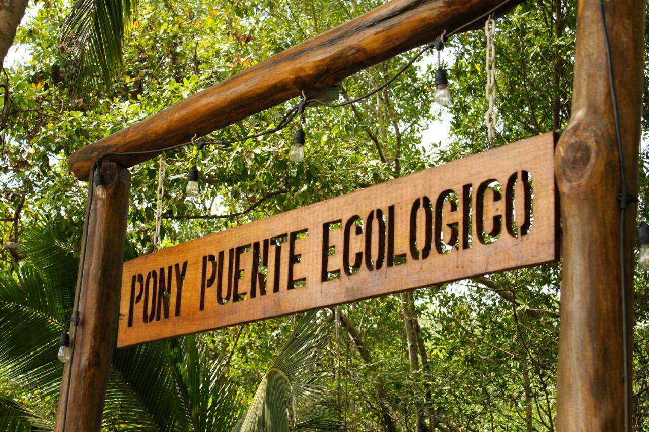 Show Pony Beach Resort And Suites Las Lajas  Eksteriør bilde