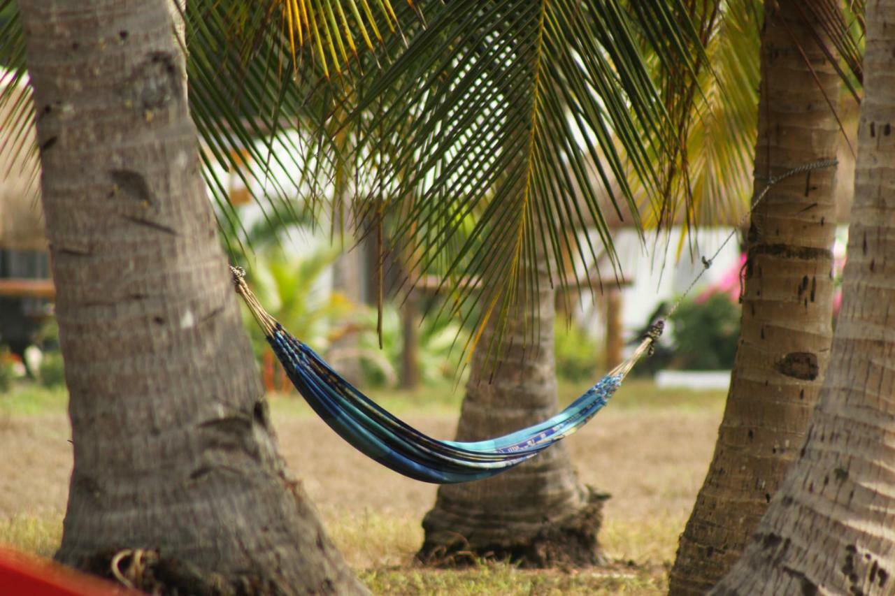 Show Pony Beach Resort And Suites Las Lajas  Eksteriør bilde